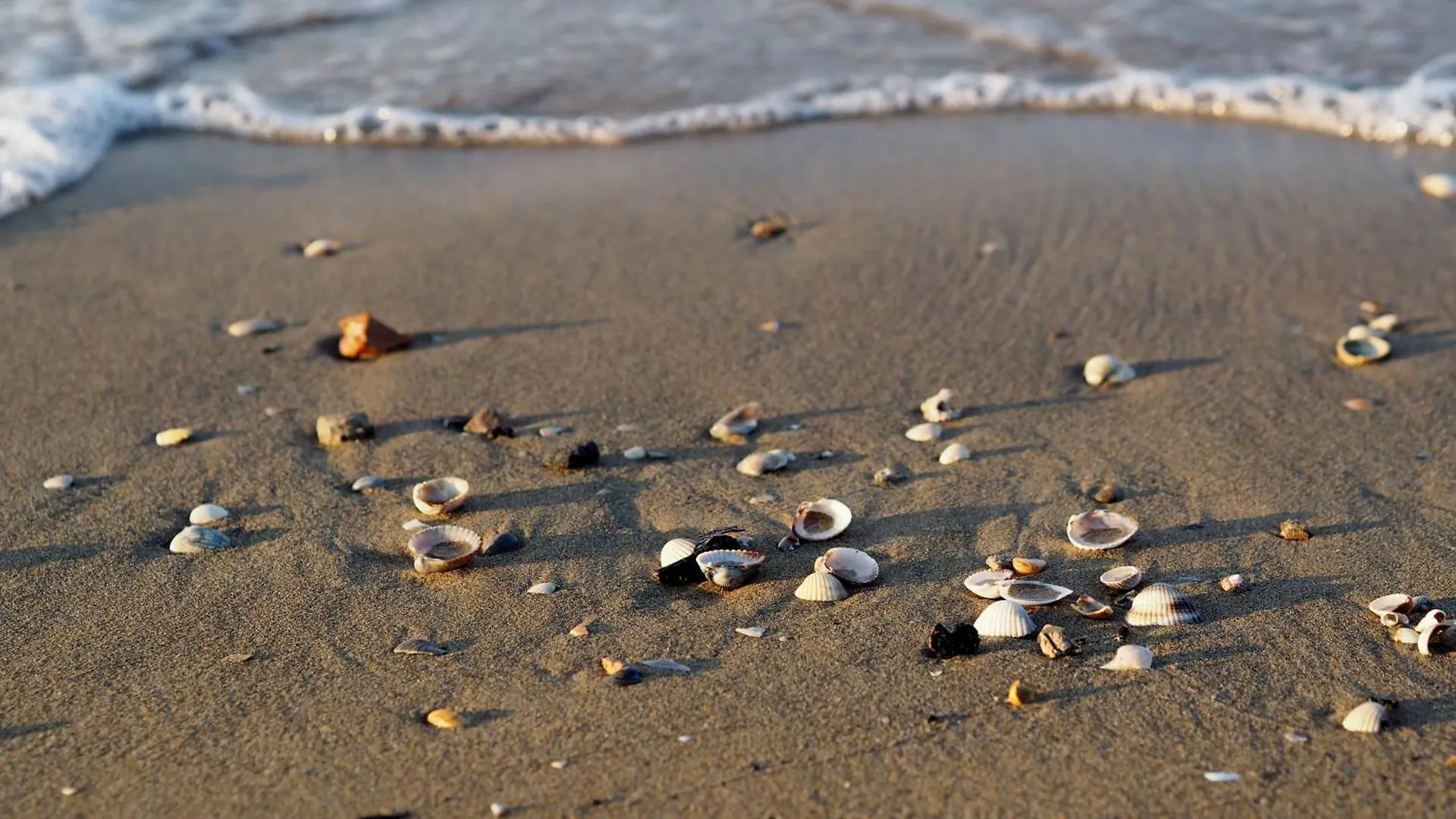 Apartment Experience The Charm Of Our Spacious Flat Bibione